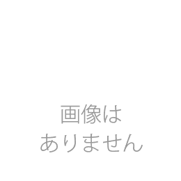 なます皿3枚セット